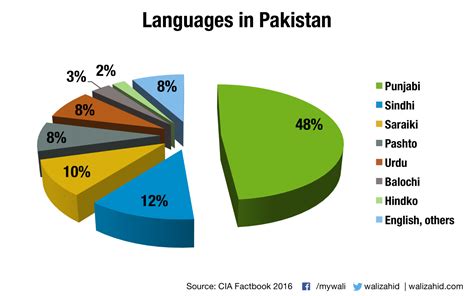 official language of pakistan and indonesia